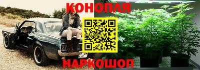 сатива Волгодонск