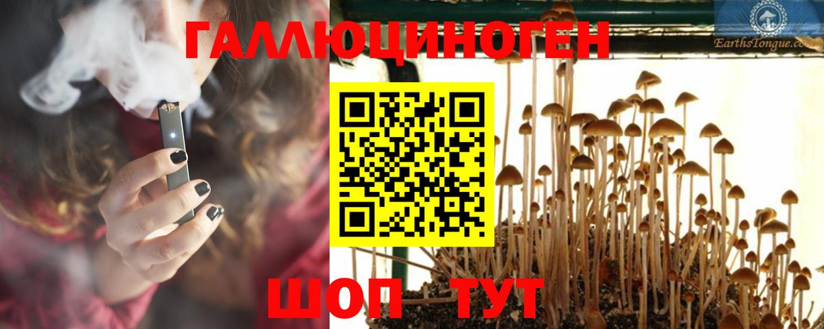 Псилоцибиновые грибы Psilocybine cubensis  где найти наркотики  Бор  Вход с VPN  Галлюциногенные грибы MAGIC MUSHROOMS 