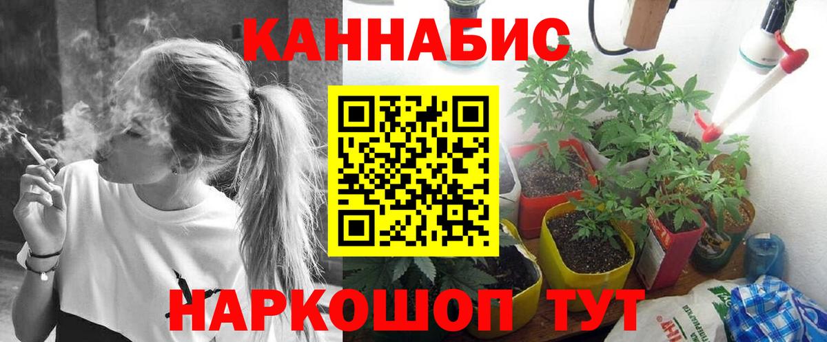 Бошки Шишки конопля Бор